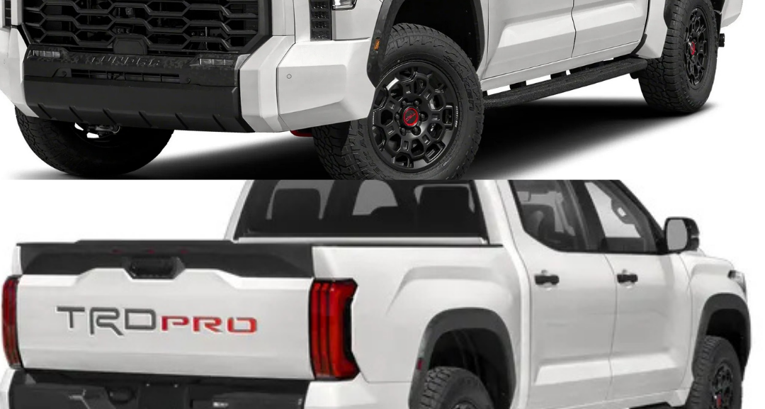 Best Auto Export Dubai in City Walk Dubai